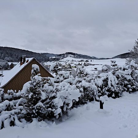 Sauerland-Tinyworld - Ihr Tiny Ferienhaus Im Sauerland Am Diemelsee Extérieur photo