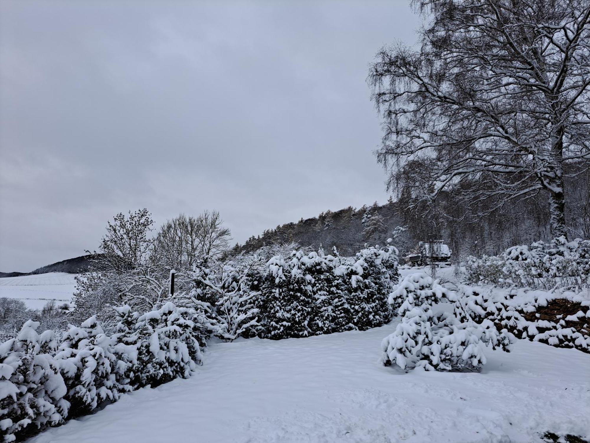 Sauerland-Tinyworld - Ihr Tiny Ferienhaus Im Sauerland Am Diemelsee Extérieur photo