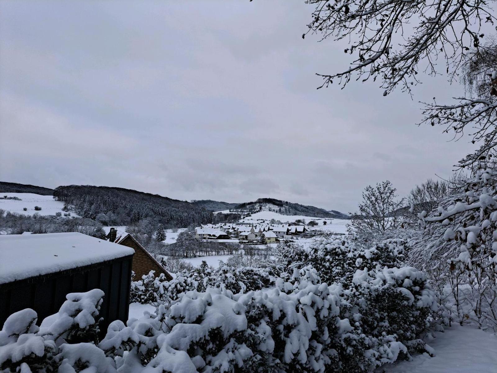 Sauerland-Tinyworld - Ihr Tiny Ferienhaus Im Sauerland Am Diemelsee Extérieur photo