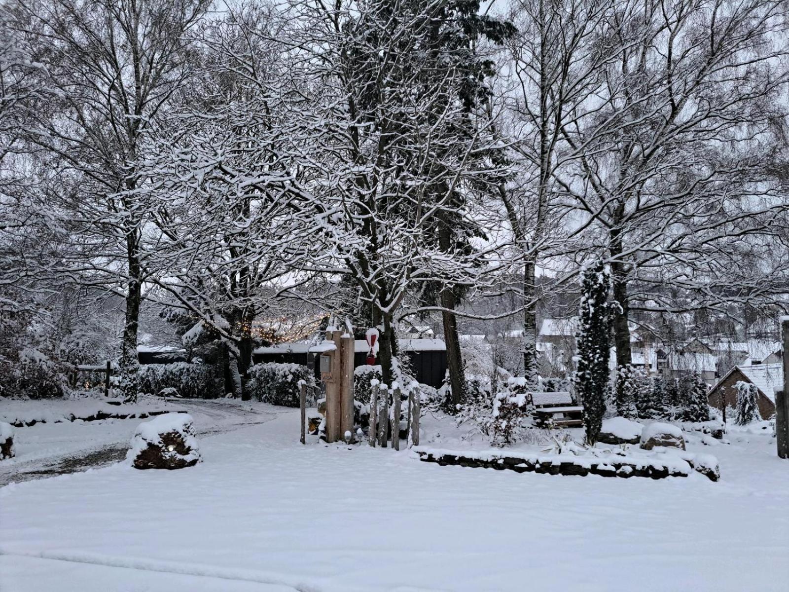 Sauerland-Tinyworld - Ihr Tiny Ferienhaus Im Sauerland Am Diemelsee Extérieur photo