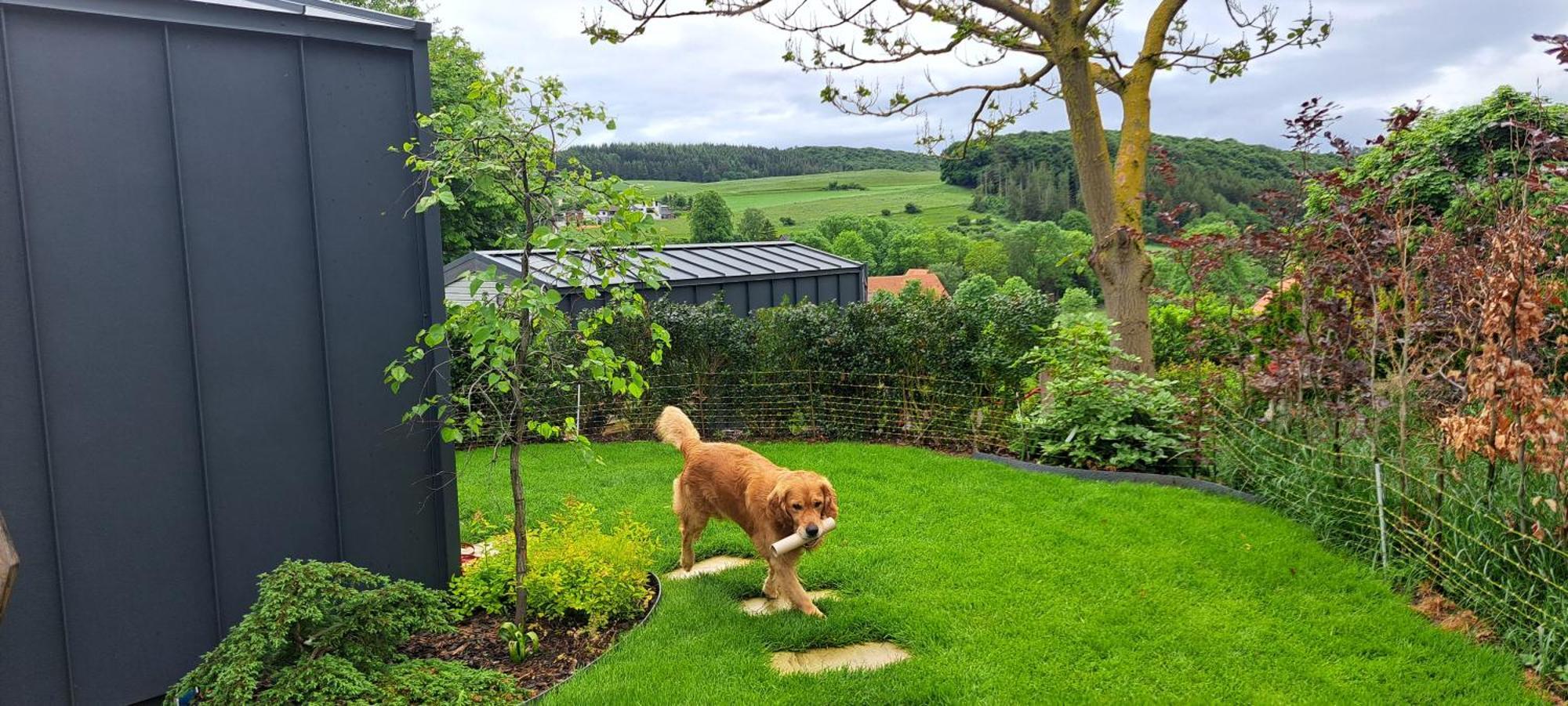 Sauerland-Tinyworld - Ihr Tiny Ferienhaus Im Sauerland Am Diemelsee Extérieur photo