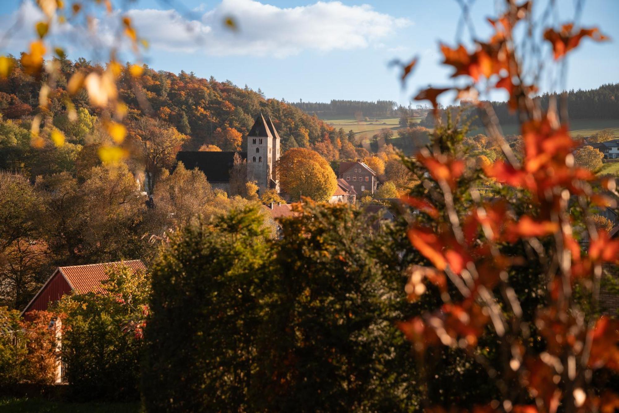 Sauerland-Tinyworld - Ihr Tiny Ferienhaus Im Sauerland Am Diemelsee Extérieur photo