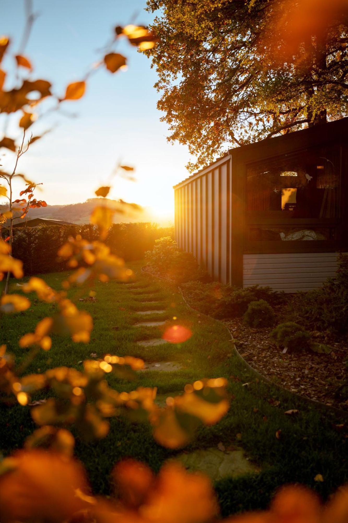 Sauerland-Tinyworld - Ihr Tiny Ferienhaus Im Sauerland Am Diemelsee Extérieur photo