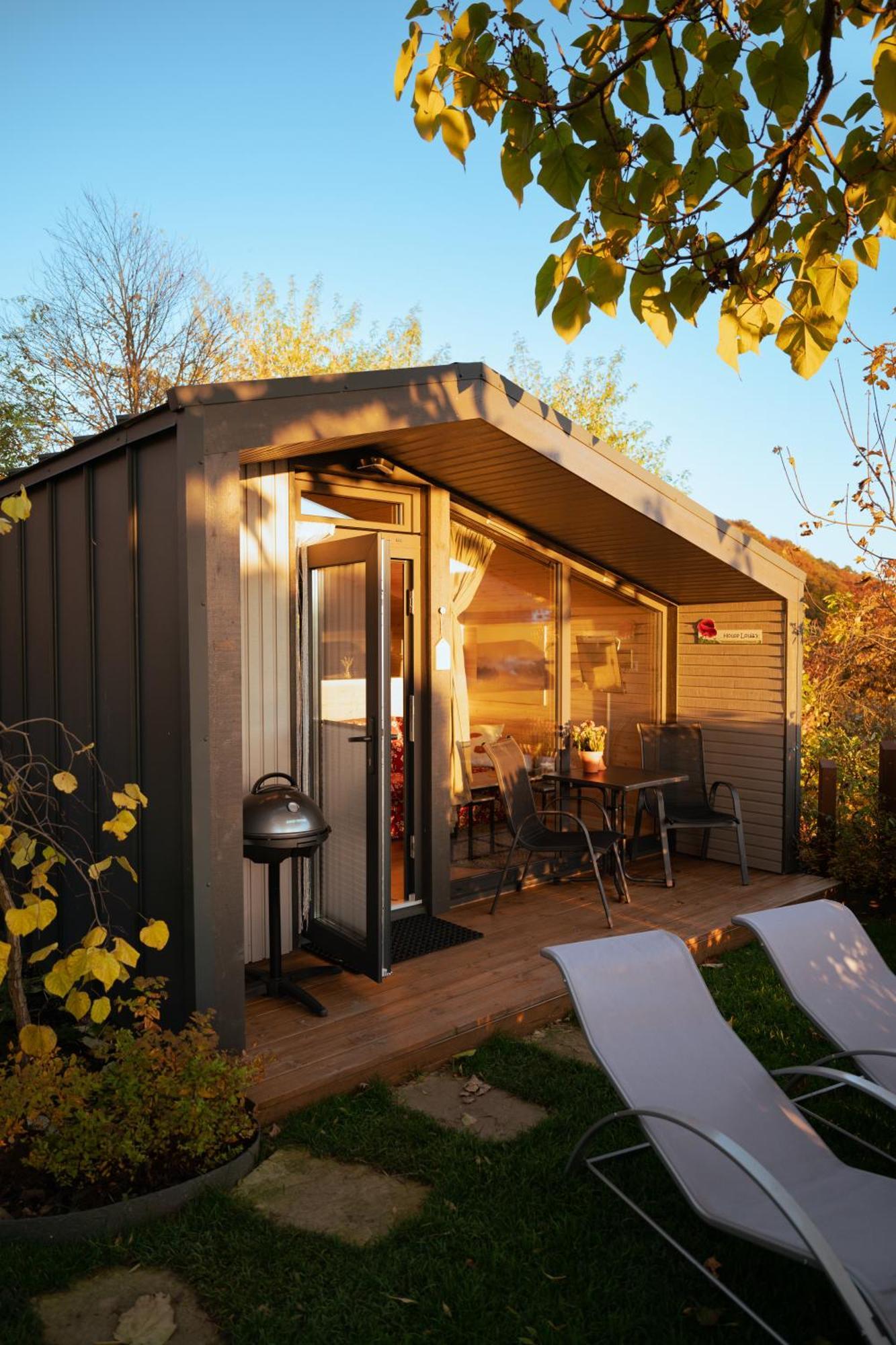 Sauerland-Tinyworld - Ihr Tiny Ferienhaus Im Sauerland Am Diemelsee Extérieur photo