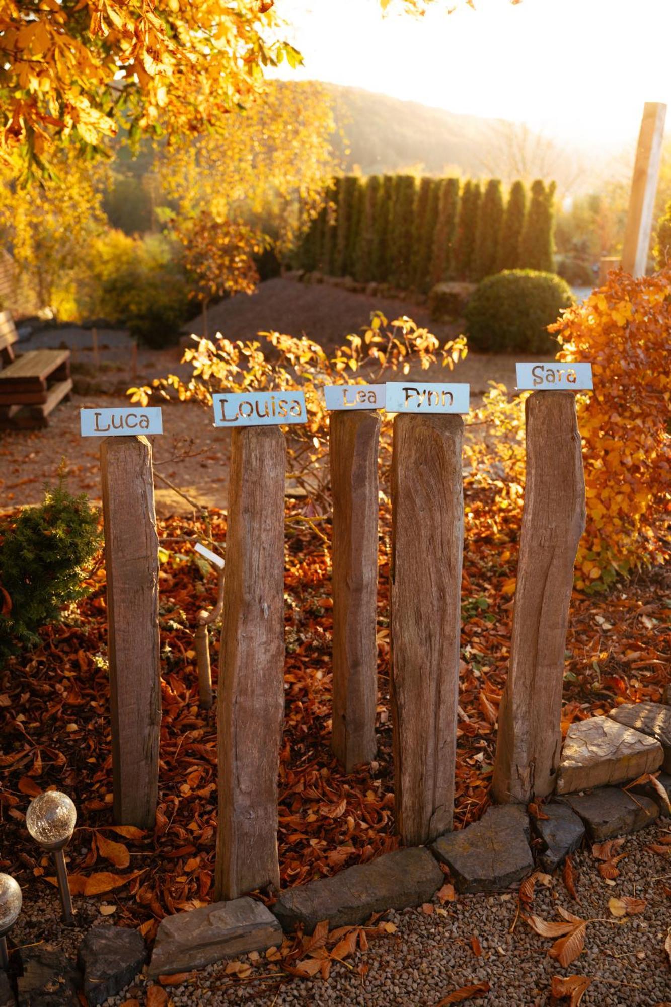 Sauerland-Tinyworld - Ihr Tiny Ferienhaus Im Sauerland Am Diemelsee Extérieur photo
