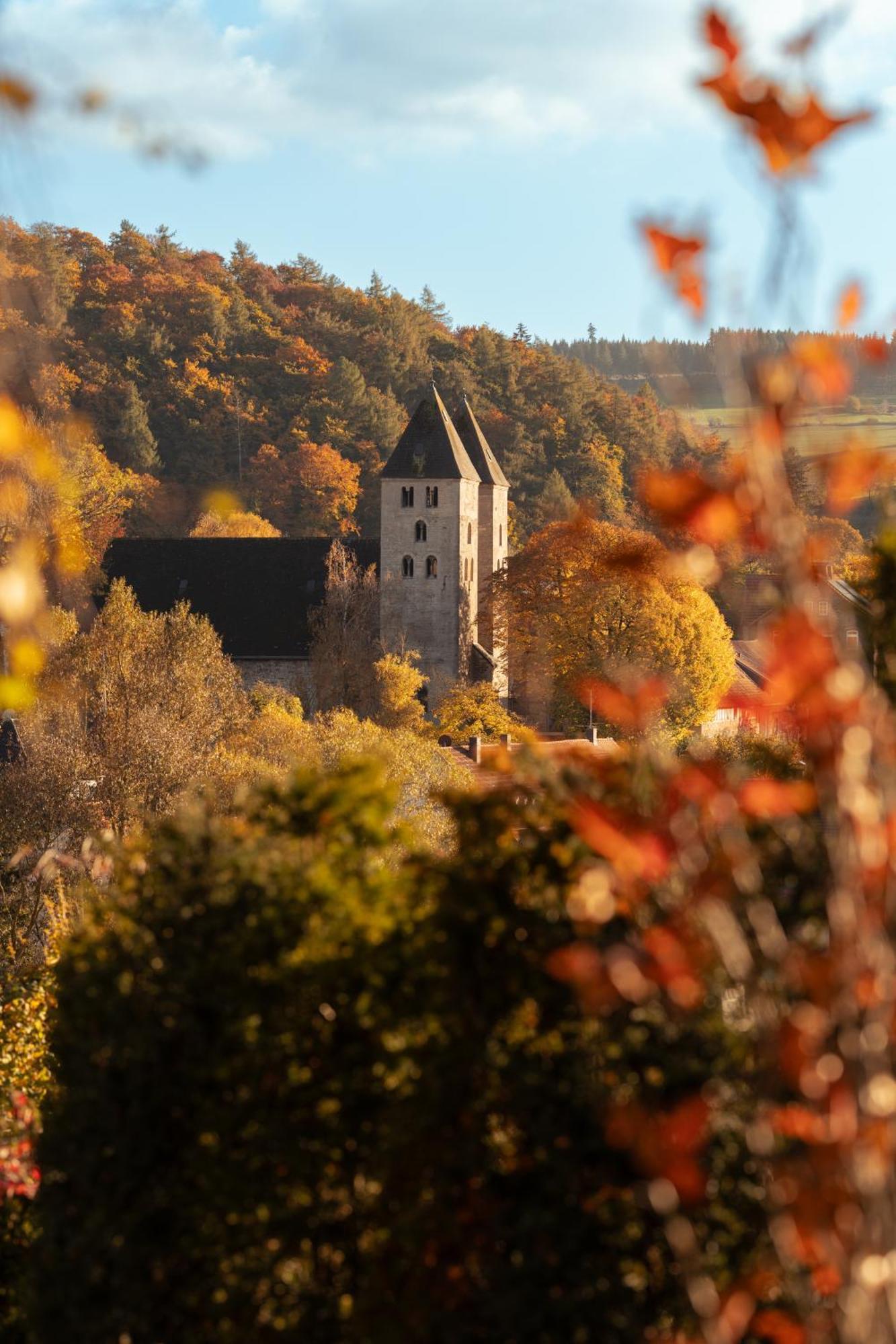 Sauerland-Tinyworld - Ihr Tiny Ferienhaus Im Sauerland Am Diemelsee Extérieur photo