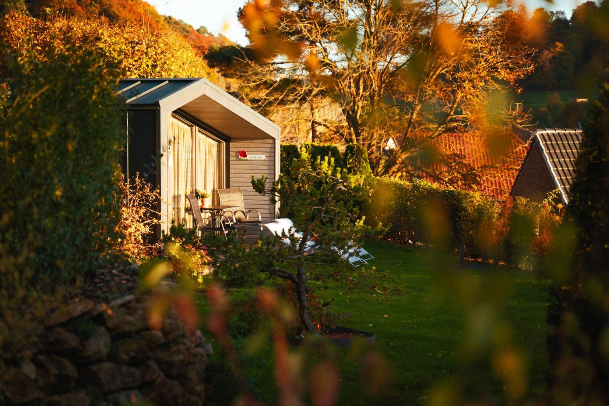 Sauerland-Tinyworld - Ihr Tiny Ferienhaus Im Sauerland Am Diemelsee Extérieur photo