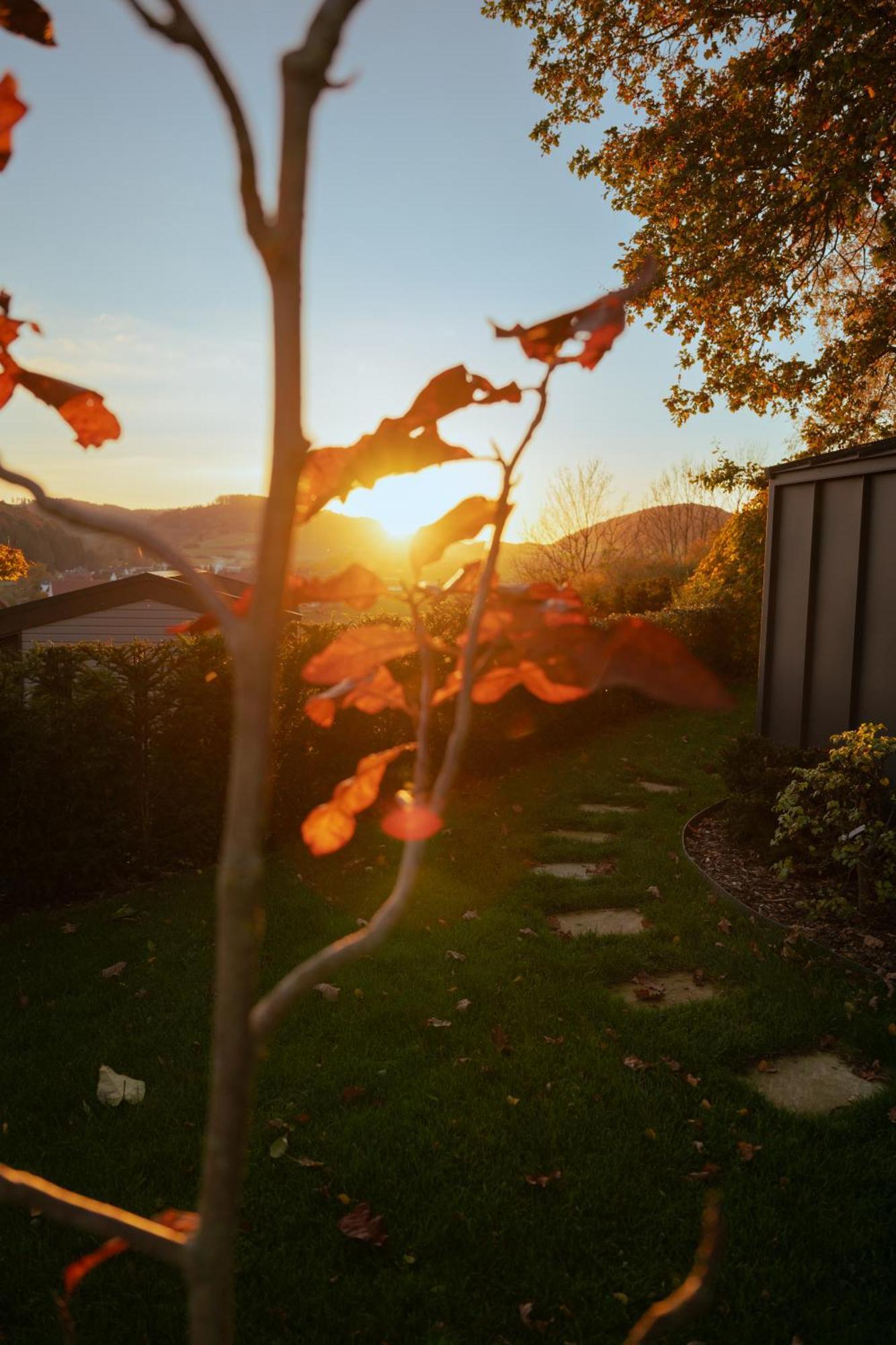Sauerland-Tinyworld - Ihr Tiny Ferienhaus Im Sauerland Am Diemelsee Extérieur photo