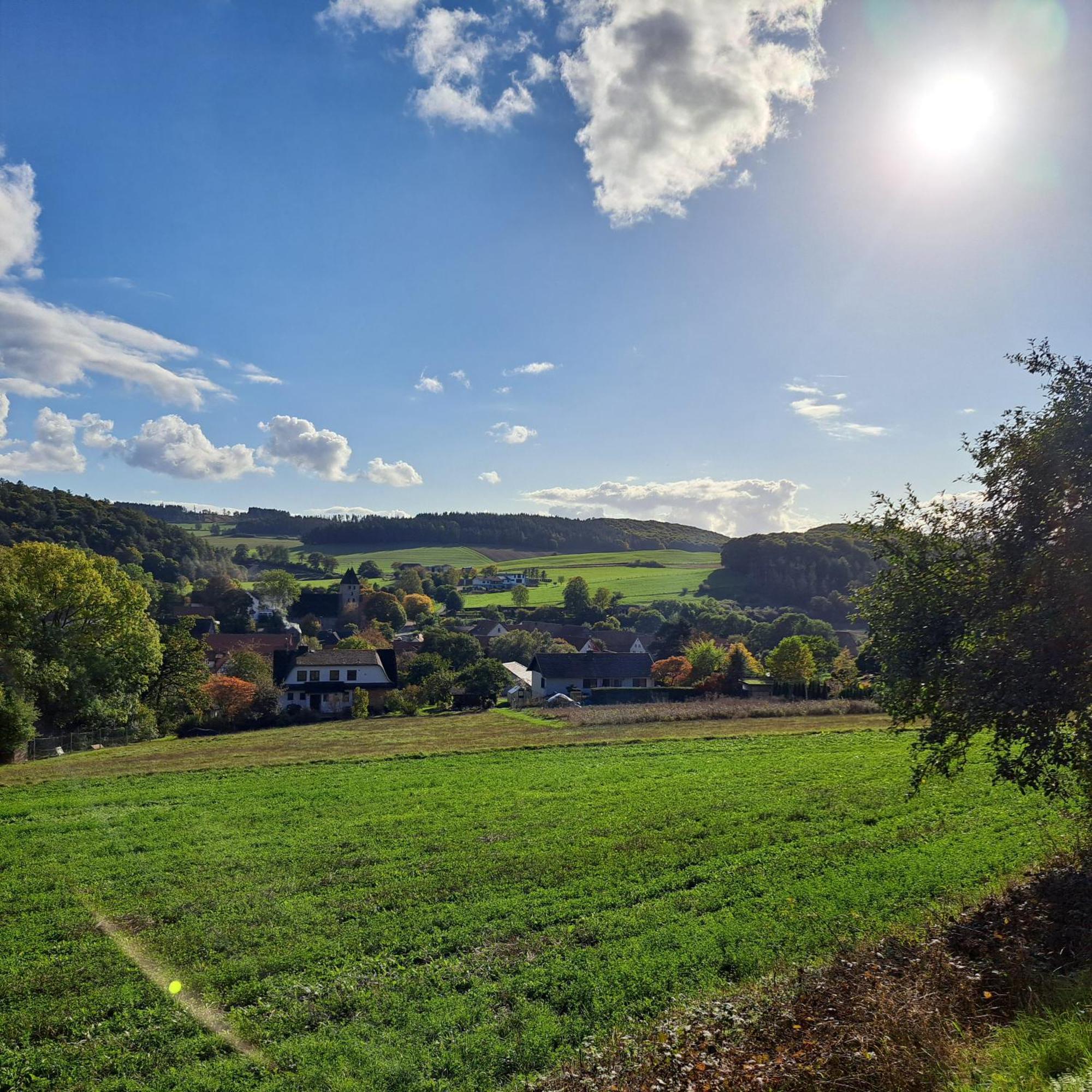 Sauerland-Tinyworld - Ihr Tiny Ferienhaus Im Sauerland Am Diemelsee Extérieur photo