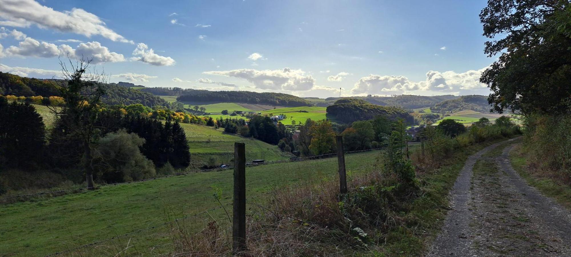 Sauerland-Tinyworld - Ihr Tiny Ferienhaus Im Sauerland Am Diemelsee Extérieur photo