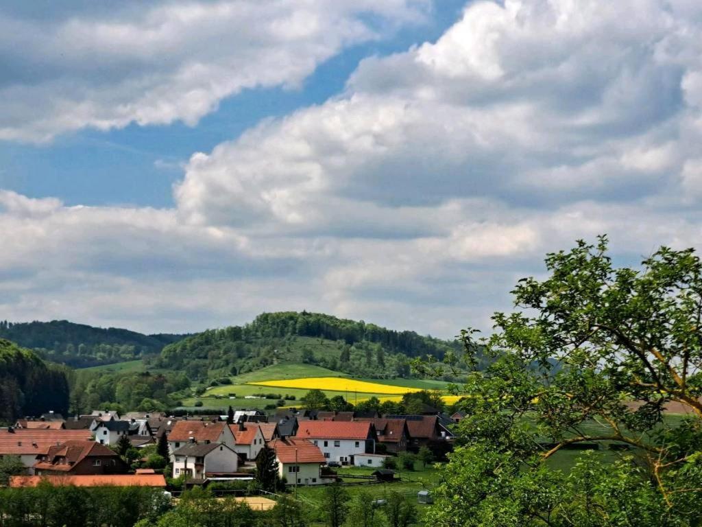 Sauerland-Tinyworld - Ihr Tiny Ferienhaus Im Sauerland Am Diemelsee Extérieur photo