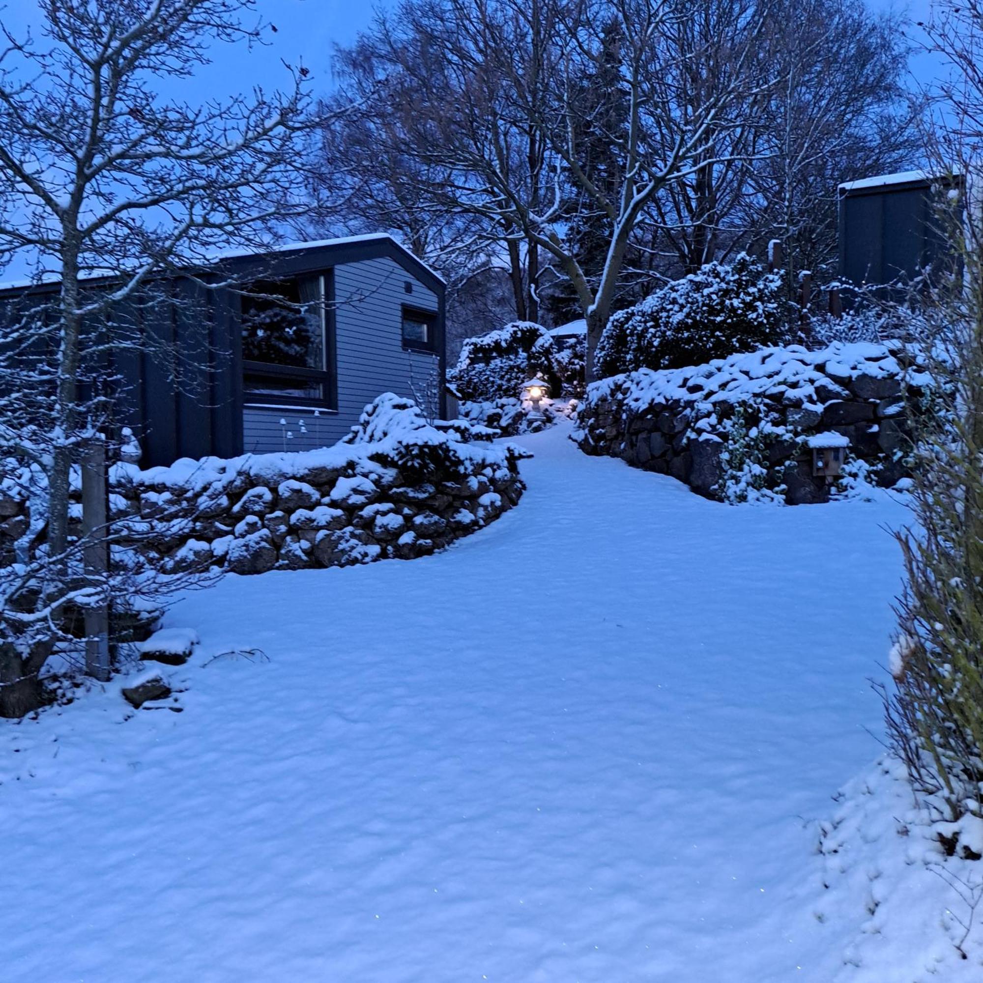 Sauerland-Tinyworld - Ihr Tiny Ferienhaus Im Sauerland Am Diemelsee Extérieur photo